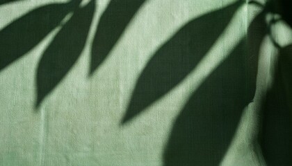 abstract botanical pattern sunlight shadow silhouette of leaves on linen sage green fabric aesthetic background for sustainable eco business brand