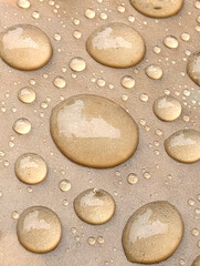 Wassentropfen regentropfen wasser wasserperlen