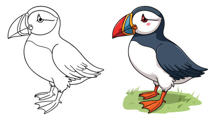 A Cute Puffin Isolated Line Art Vector Outline Illustration Black and White with Coloring Sample
