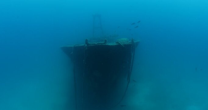 Green Turtle Exploring the Fang Ming Shipwreck in Baja California Sur
