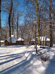 winter landscape in the park