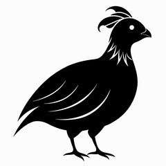Minimalist Quail Silhouette Illustration