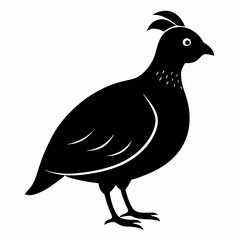 Minimalist Quail Silhouette Illustration