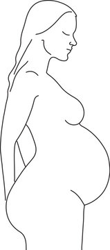 Pregnant woman one line drawing on white isolated background. Vector illustration