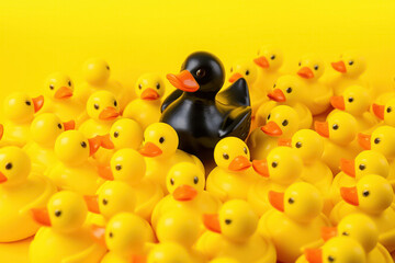 Many yellow rubber ducks standing around one big black one on a yellow background. Concept Variety and difference.