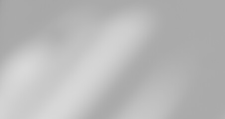 White wall with shadow of leaves overlay. Sunlight effect shadow on the wall. Minimal blurred backdrop backgrounds. Summer tropical surface background.