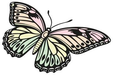  Vibrant rainbow butterfly, detailed wings, symmetrical design, intricate patterns, colorful insect, iridescent scales, fantasy creature, digital illustration, hyper-realistic, high contrast, vivid 