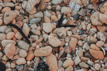 Natural Pebble Beach with Mixed Stones and Debris Textured Coastal Surface with Rocks, Shells,