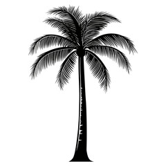 Silhouette palm tree white art illustration vector