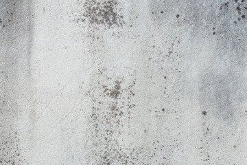 Mold texture on a gray wall. Macro, close-up top view, background. Black spots, fungus on concrete. 