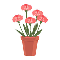 Fototapeta premium Potted plant Dianthus flowers illustration carnations potted vector