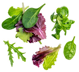 Fresh Spring mix leaves isolated. Green salad leaves on white. Pile of arugula, lettuce, spinach...
