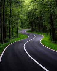 Obraz premium A picturesque winding road meanders through a vibrant green forest, offering a serene escape into nature.