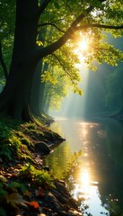 Obraz premium Sunlight filtering through trees on a riverbank, leaves, serenity, sunlight