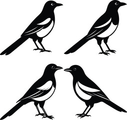 Stylized Magpie Silhouette Vector Ideal for Logos & Artwork.