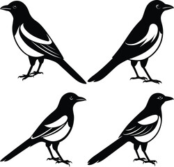 Stylized Magpie Silhouette Vector Ideal for Logos & Artwork.