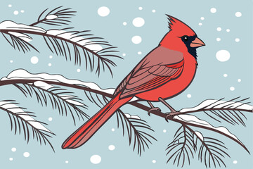  Cardinal bird, snowy winter scene, pine branch, red feathers, vibrant colors, detailed plumage, bokeh snow effect, blue background, nature photography, close-up, festive atmosphere, wildlife portra