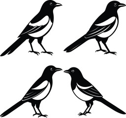 Stylized Magpie Silhouette Vector Ideal for Logos & Artwork.