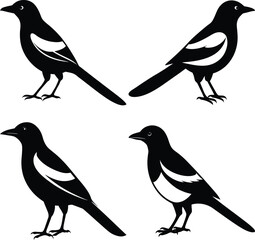 Stylized Magpie Silhouette Vector Ideal for Logos & Artwork.