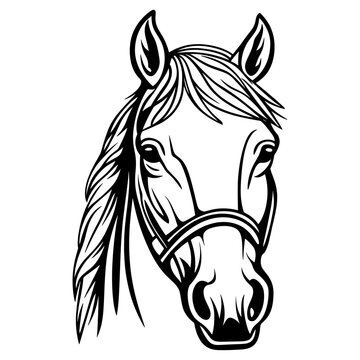 Chubby horse face linear art illustration drawing vector