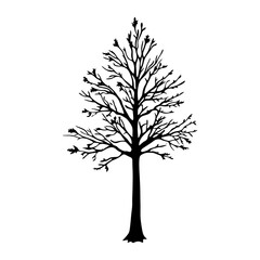 Obraz premium Maple tree silhouette illustration black vector