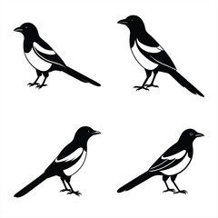 Stylized Magpie Silhouette Vector Ideal for Logos & Artwork.
