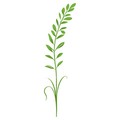Fototapeta premium Flat vector of green grass plant leaf art vector
