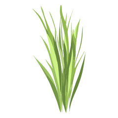 Fototapeta premium Flat vector of green grass plant leaf illustration vector