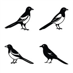 Stylized Magpie Silhouette Vector Ideal for Logos & Artwork.