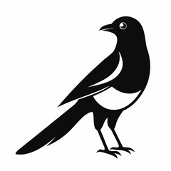 High-Quality Magpie Silhouette Vector Icon for Designers.