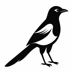 High-Quality Magpie Silhouette Vector Icon for Designers.