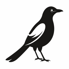 High-Quality Magpie Silhouette Vector Icon for Designers.