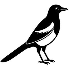 High-Quality Magpie Silhouette Vector Icon for Designers.