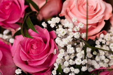 Beautiful close-up of pink and peach roses with baby's breath. Perfect for Valentine's Day or...