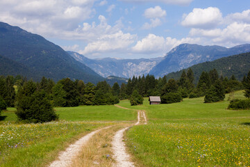 A quiet alpine path in Triglav National Park.