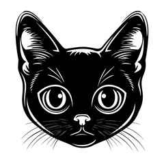 Obraz premium Chubby Pixie-Bob cat head linear illustration animal vector vector