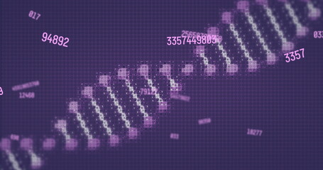 Naklejka premium Image of digital data processing and dna strand on dark background
