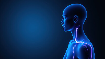 Vagus Nerve Stimulation. Illustration of a human head with highlighted neural pathways representing VNS therapy.