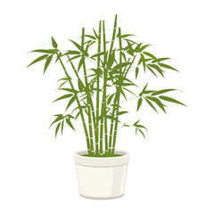 Potted bamboo plant illustration potted decoration vector