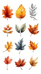 Watercolor Autumn Leaves Collection in Vibrant Colors for Seasonal Designs and Decorations