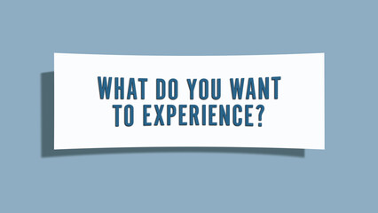 What do you want to experience. A card isolated on blue background.