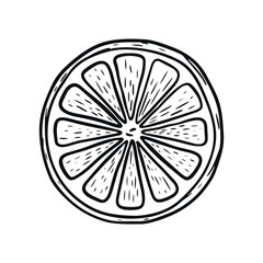 Hand-drawn fresh orange engravings. Organic food engraved in vintage style. Line art orange slice. Black and white citrus fruit design.