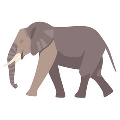 Fototapeta premium Elephant walking illustration minimalist wildlife vector