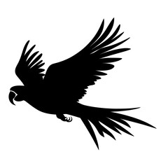 Obraz premium Parrot silhouette illustration graphic flying vector