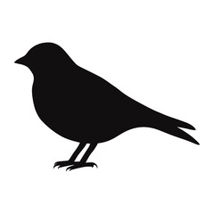 Fototapeta premium Bird silhouette illustration simple black vector
