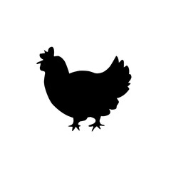 rooster isolated on white