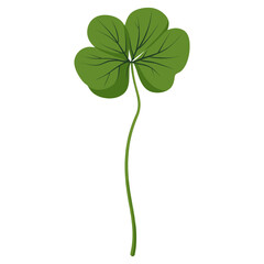 Pennywort leaf plant green four-leaf vector