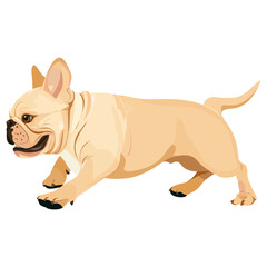 Fototapeta premium Bulldog playing bulldog illustration cartoon vector
