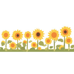 Sunflower field background sunflowers nature illustration vector