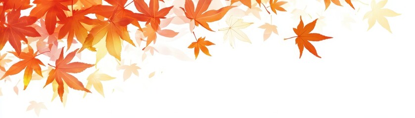 Fototapeta premium Delicate Momiji maple leaf silhouettes in bright orange over a white backdrop, seasonal and stylish natureinspired motif